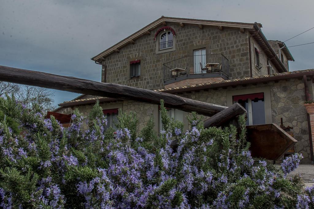 Agriturismo Specchio Del Lago 몬테피아스콘 외부 사진